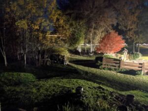 FB_IMG_1732465896428